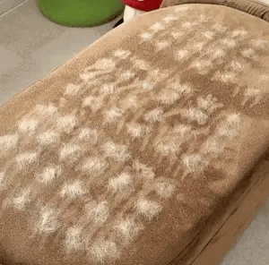 SnugPawz™ Swipe Away Fur in Seconds