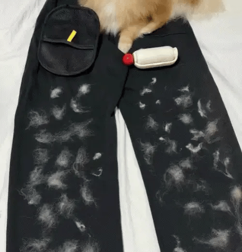 SnugPawz™ Swipe Away Fur in Seconds
